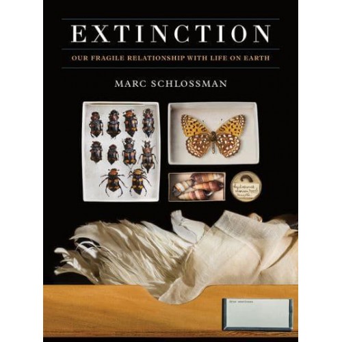 Extinction Our Fragile Relationship With Life on Earth
