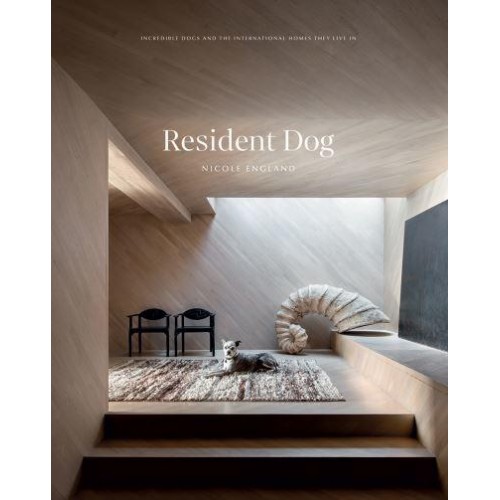 Resident Dog Incredible Dogs and the International Homes They Live In