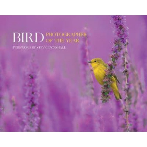 Bird Photographer of the Year. Collection 7