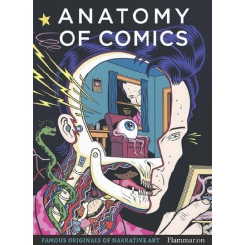 Anatomy of Comics Famous Originals of Narrative Art