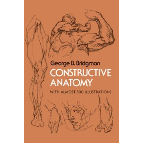 Constructive Anatomy - Dover Anatomy for Artists