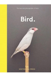 Bird The Best New Photography of Birds - Wellness & Green Living