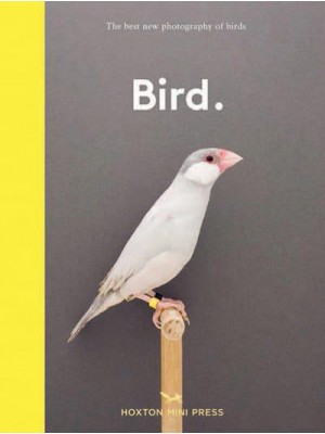 Bird The Best New Photography of Birds - Wellness & Green Living