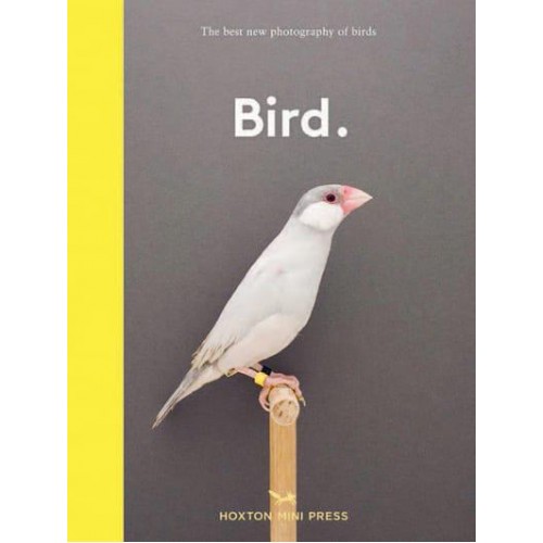 Bird The Best New Photography of Birds - Wellness & Green Living