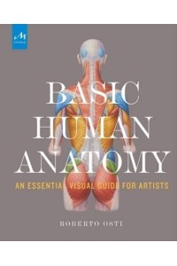 Basic Human Anatomy An Essential Visual Guide for Artists