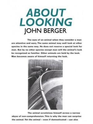 About Looking
