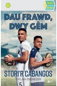 Dau Frawd, Dwy Gém - Stori Sydyn