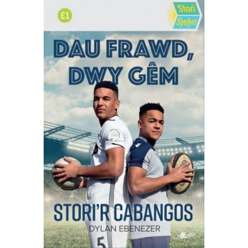 Dau Frawd, Dwy Gém - Stori Sydyn