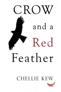 Crow and a Red Feather