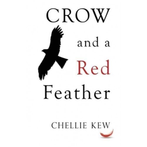Crow and a Red Feather