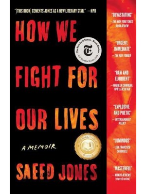 How We Fight for Our Lives A Memoir