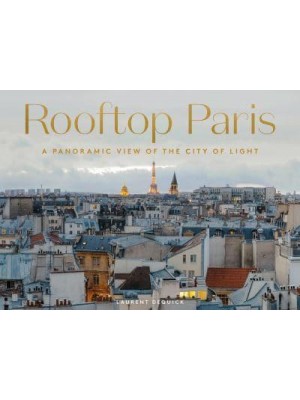 Rooftop Paris A Panoramic View of the City of Light