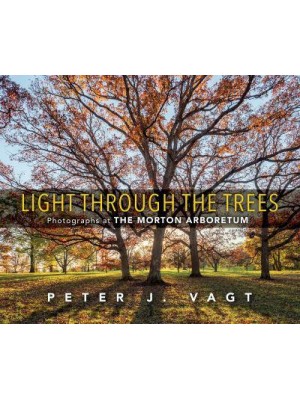 Light Through the Trees Photographs at the Morton Arboretum