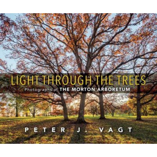 Light Through the Trees Photographs at the Morton Arboretum