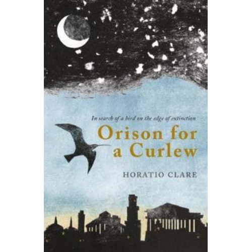 Orison for a Curlew In Search of a Bird on the Edge of Extinction