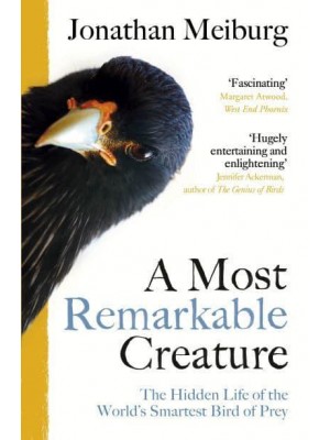 A Most Remarkable Creature The Hidden Life of the World's Smartest Bird of Prey