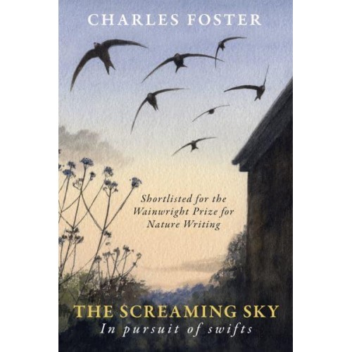 The Screaming Sky In Pursuit of Swifts