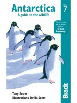 Antarctica A Guide to the Wildlife - Bradt Wildlife Explorer