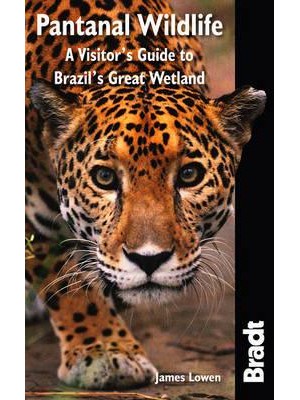 Pantanal Wildlife A Visitor's Guide to Brazil's Great Wetland