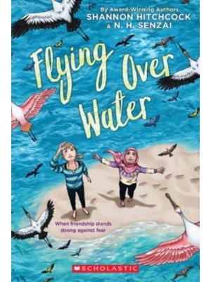 Flying Over Water
