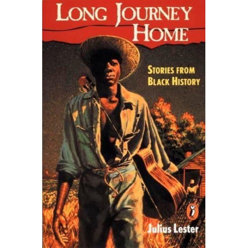 Long Journey Home Stories from Black History