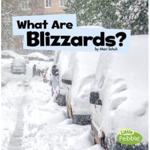 What Are Blizzards? - Wicked Weather