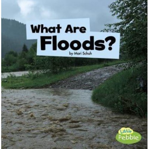 What Are Floods? - Little Pebble. Wicked Weather