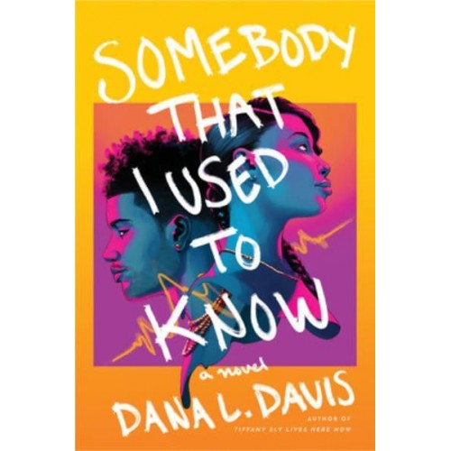Somebody That I Used to Know A Novel