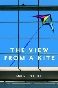 View from a Kite