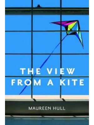 View from a Kite