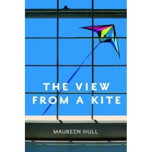 View from a Kite