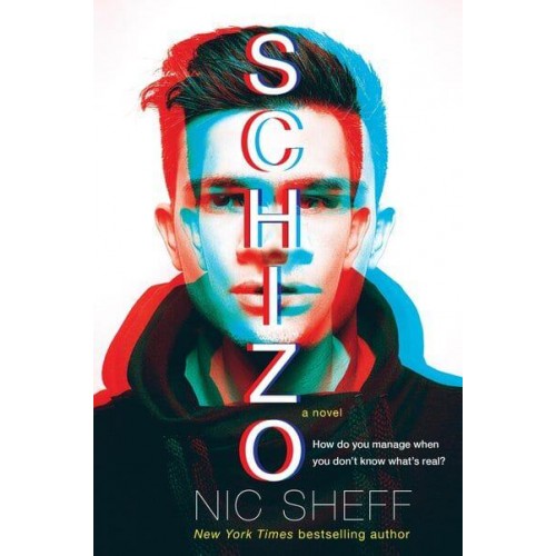 Schizo A Novel