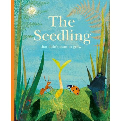 The Seedling That Didn't Want to Grow