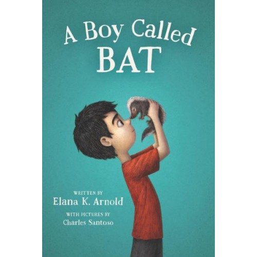 A Boy Called Bat - The Bat Series