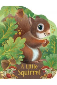 A Little Squirrel