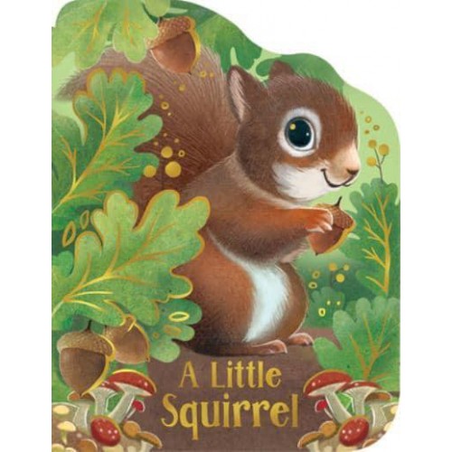 A Little Squirrel