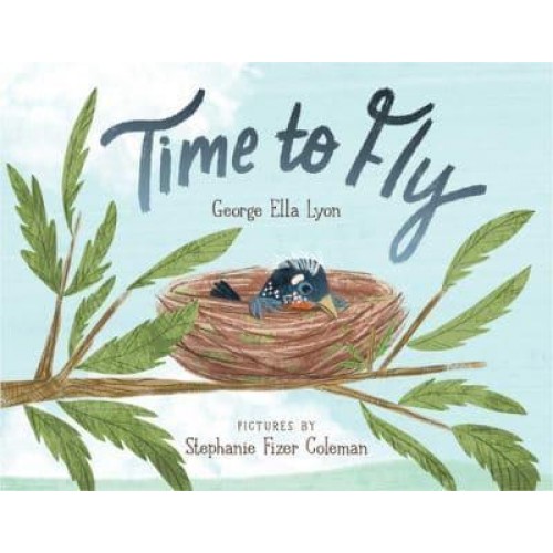 Time to Fly
