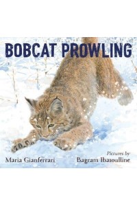 Bobcat Prowling
