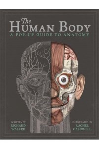 The Human Body A Pop-Up Guide to Anatomy