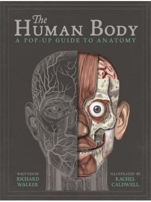 The Human Body A Pop-Up Guide to Anatomy