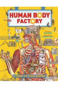 Human Body Factory The Nuts and Bolts of Your Insides!