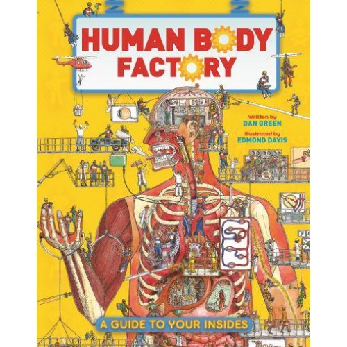 Human Body Factory The Nuts and Bolts of Your Insides!