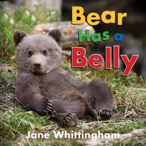 Bear Has a Belly - Big, Little Concepts