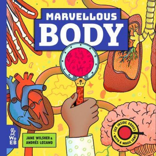 Marvellous Body A Magic Lens Book