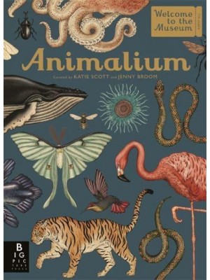 Animalium - Welcome to the Museum