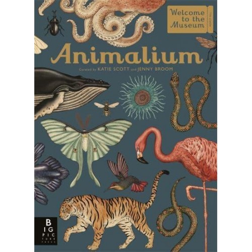 Animalium - Welcome to the Museum