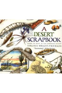 Desert Scrapbook Desert Scrapbook