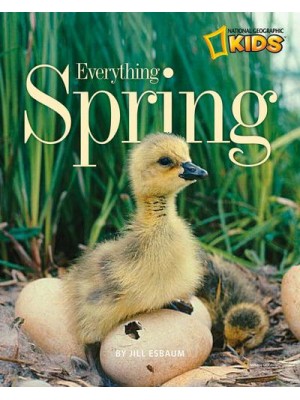 Everything Spring - Everything
