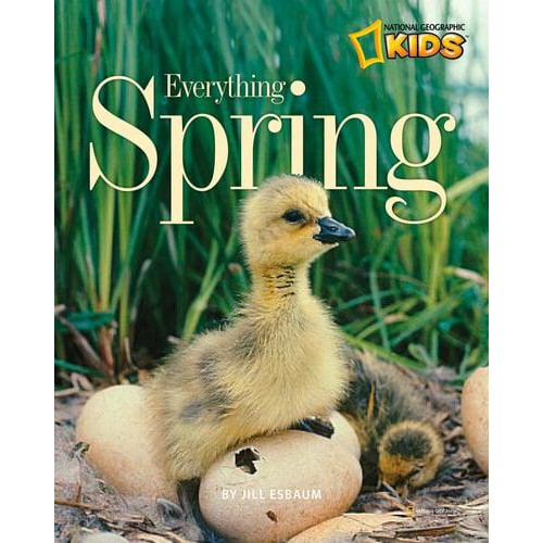 Everything Spring - Everything