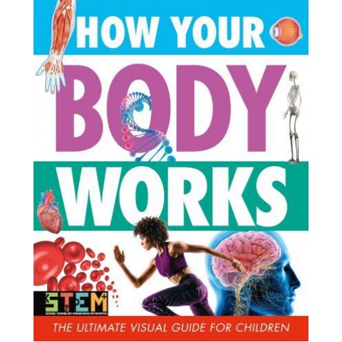 How Your Body Works - STEM